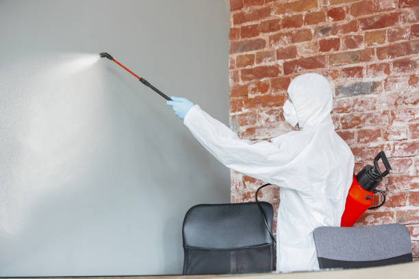 Best Emergency Mold Remediation  in USA